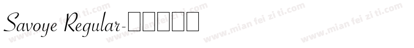 Savoye Regular字体转换